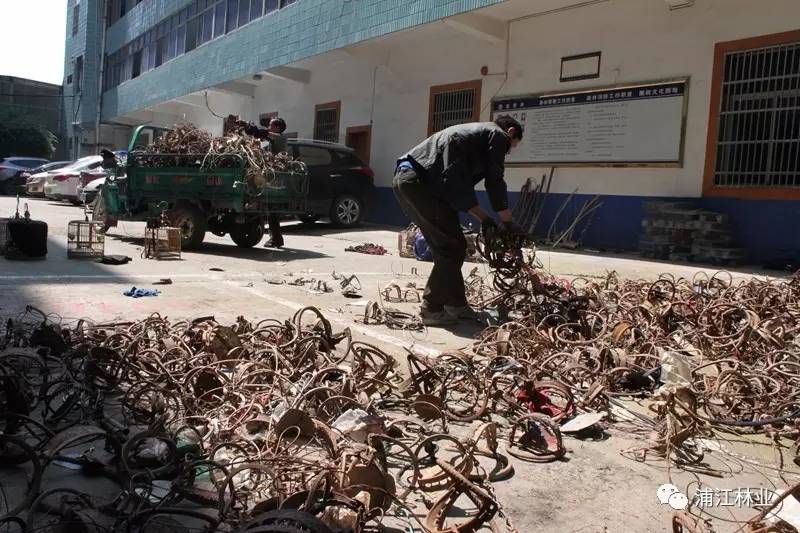 上千副野猪夹铺满停车场是什么概念！